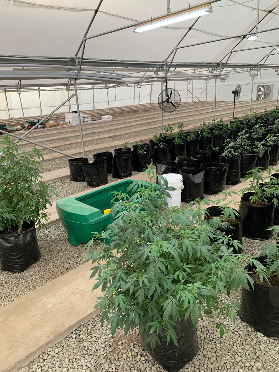 1a5b8c0c-3834-4e63-812f-c41a984a1b53