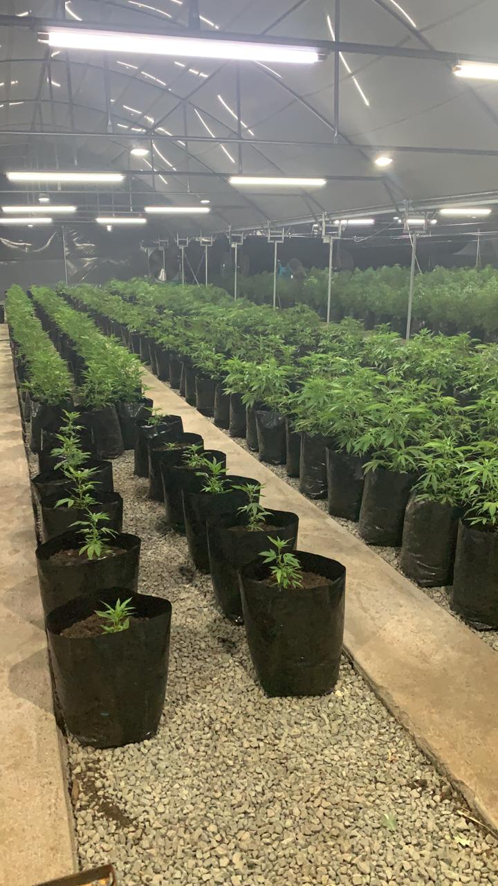 28f9811b-7902-4649-811c-bf5651f8dadb