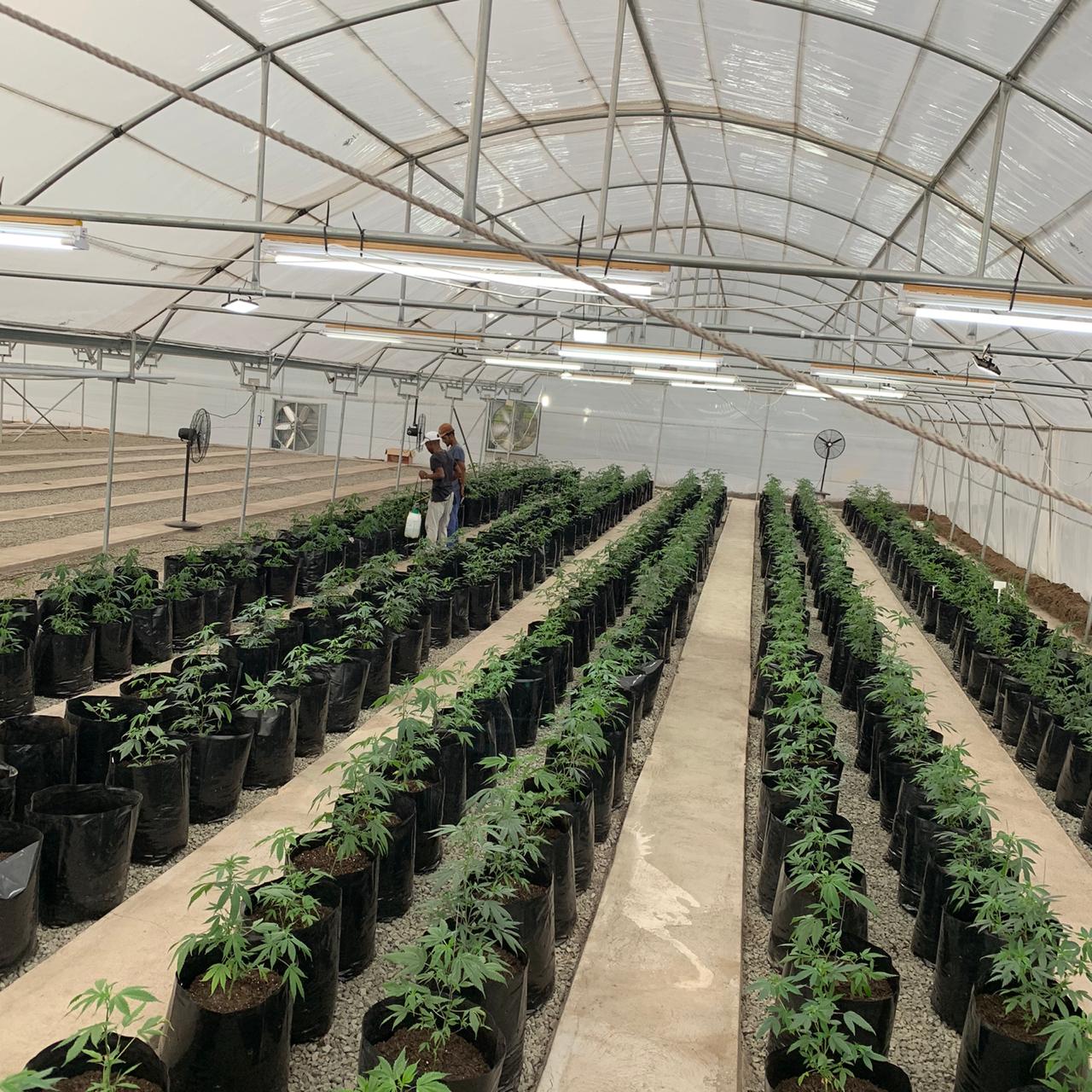 33d93e05-42c1-46e1-9dc2-a0ac73a2e0bb