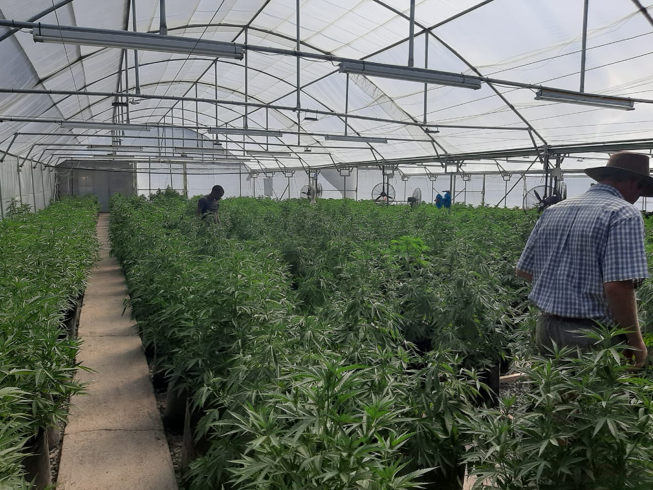 41f39f09-d8b8-4aa9-bc9e-63a8144ae285