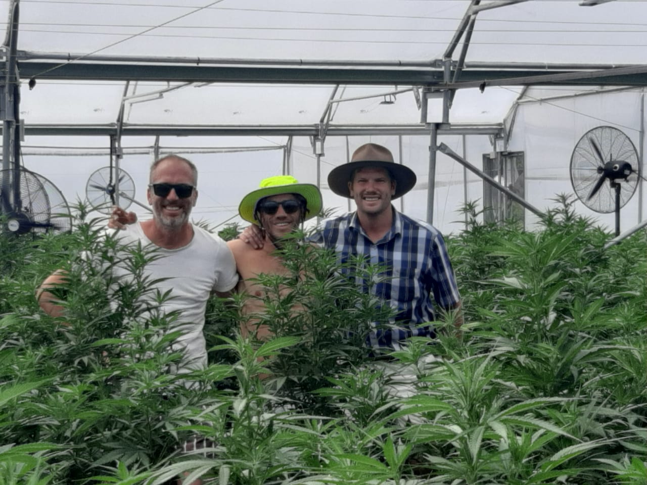 5e4d17f4-096a-41a9-81cc-8560372ee2d6