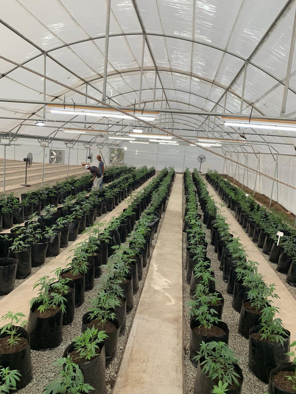 76f43a5d-2aad-4d2e-9f68-88d5c03e44cb