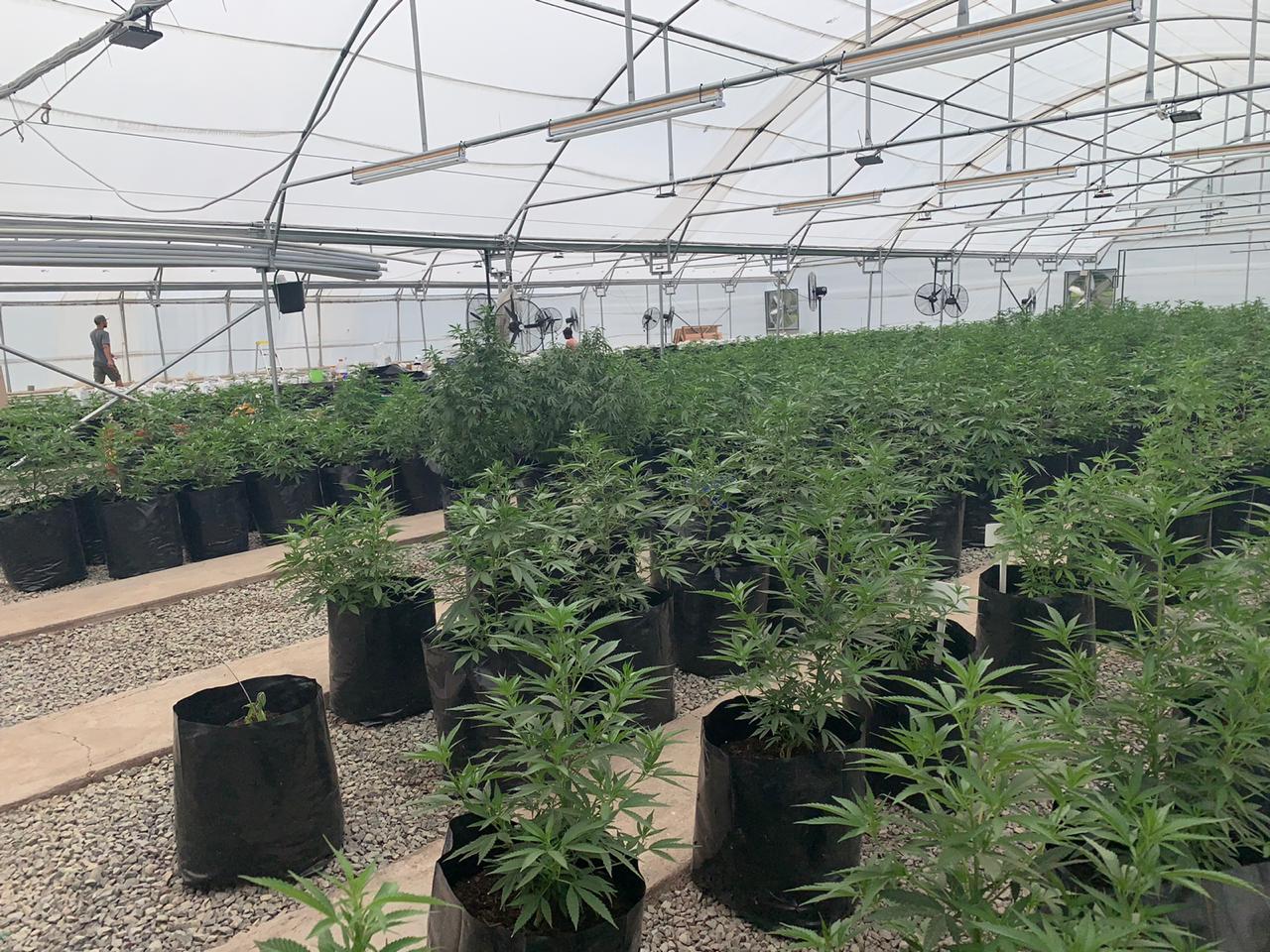 7e8c1245-9165-43f3-9cfd-ca3e631c8d7a