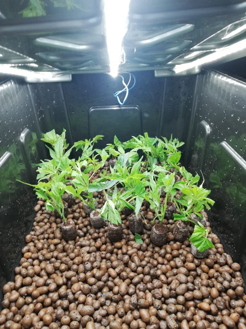 80a9746d-5b16-4058-b357-49c74853eb83