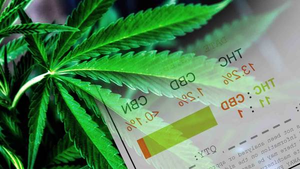 Hemp-Testing-Cost-5d5ceee4ea97d