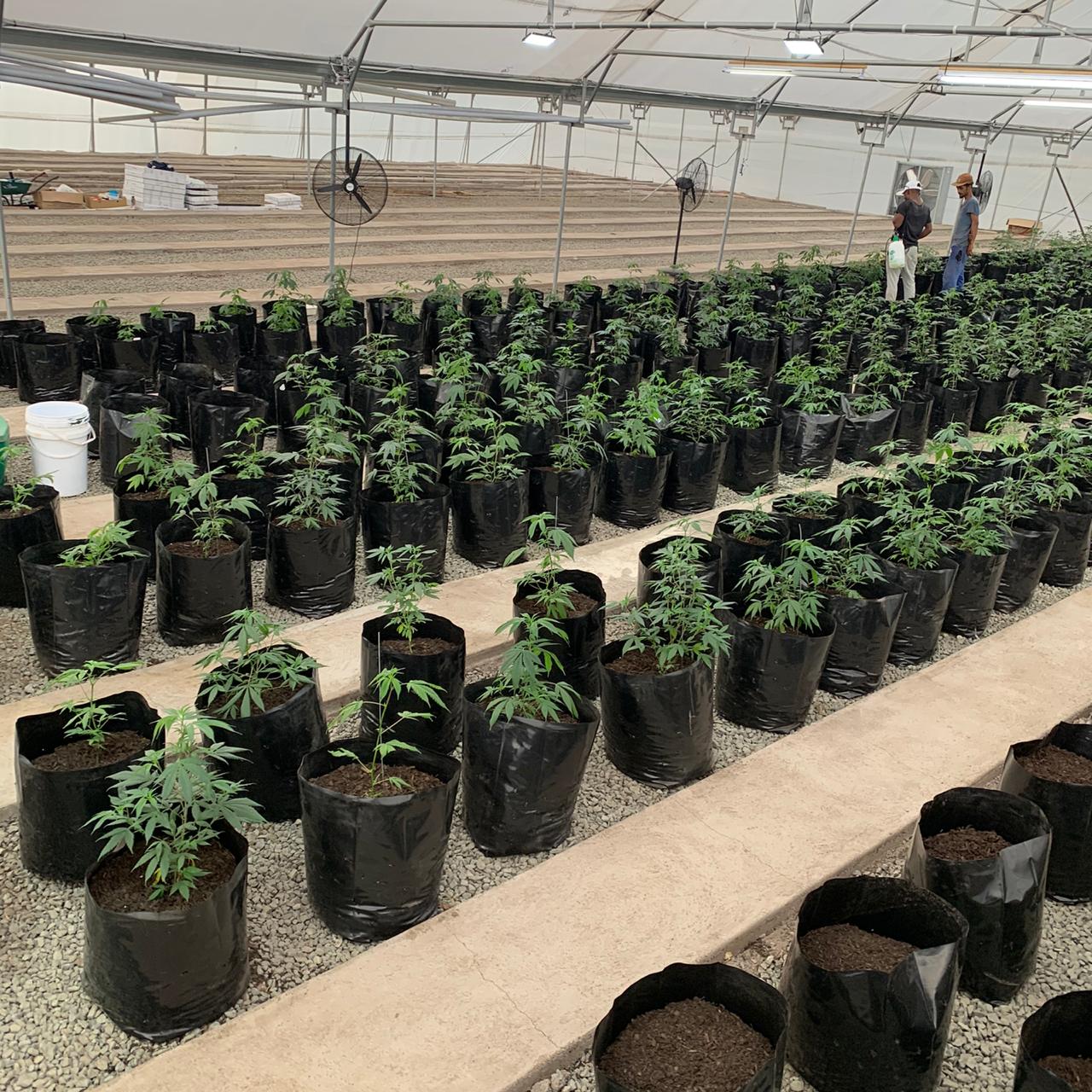 acc47704-c474-45b2-8fc8-7f6b32ceab0d