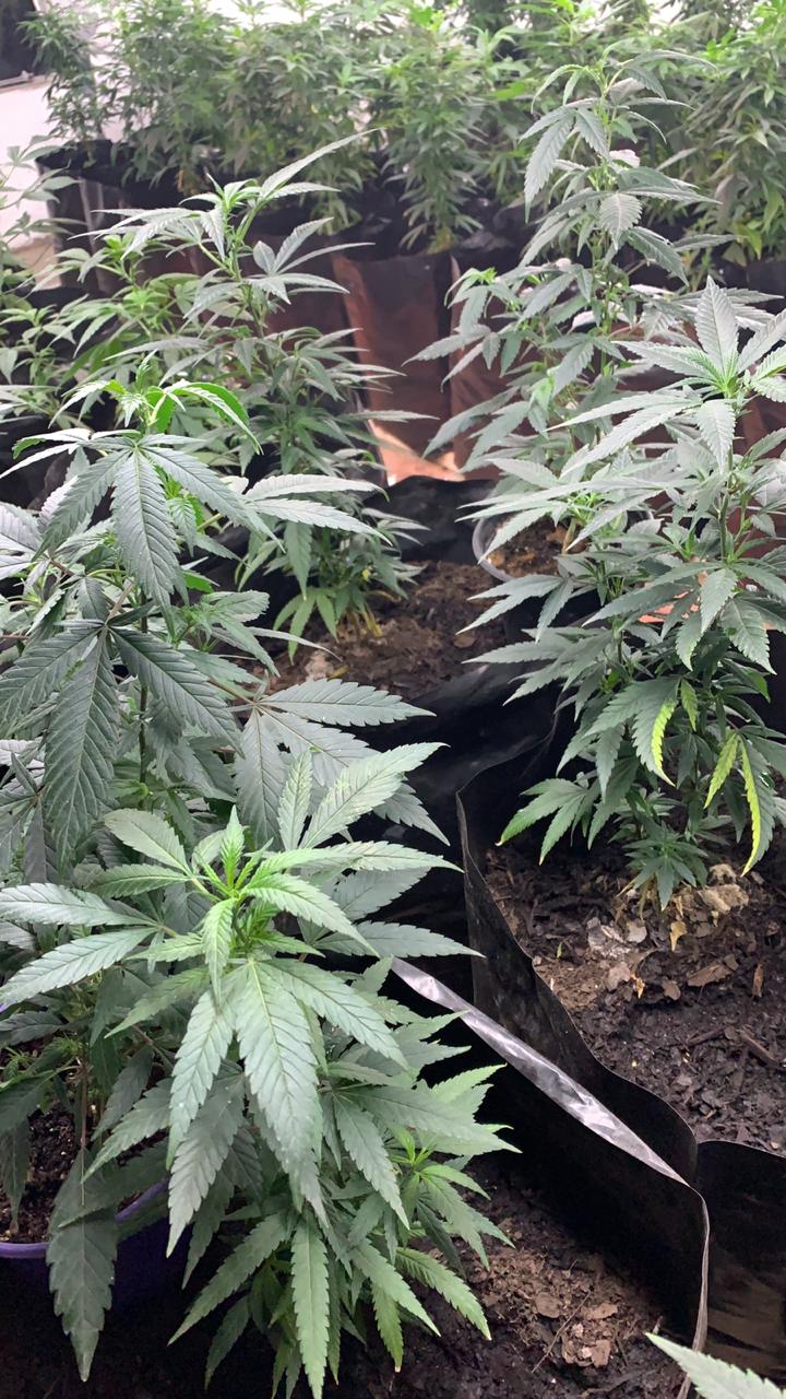 ce4b8e83-466f-4612-9093-2548f0ad0eb6