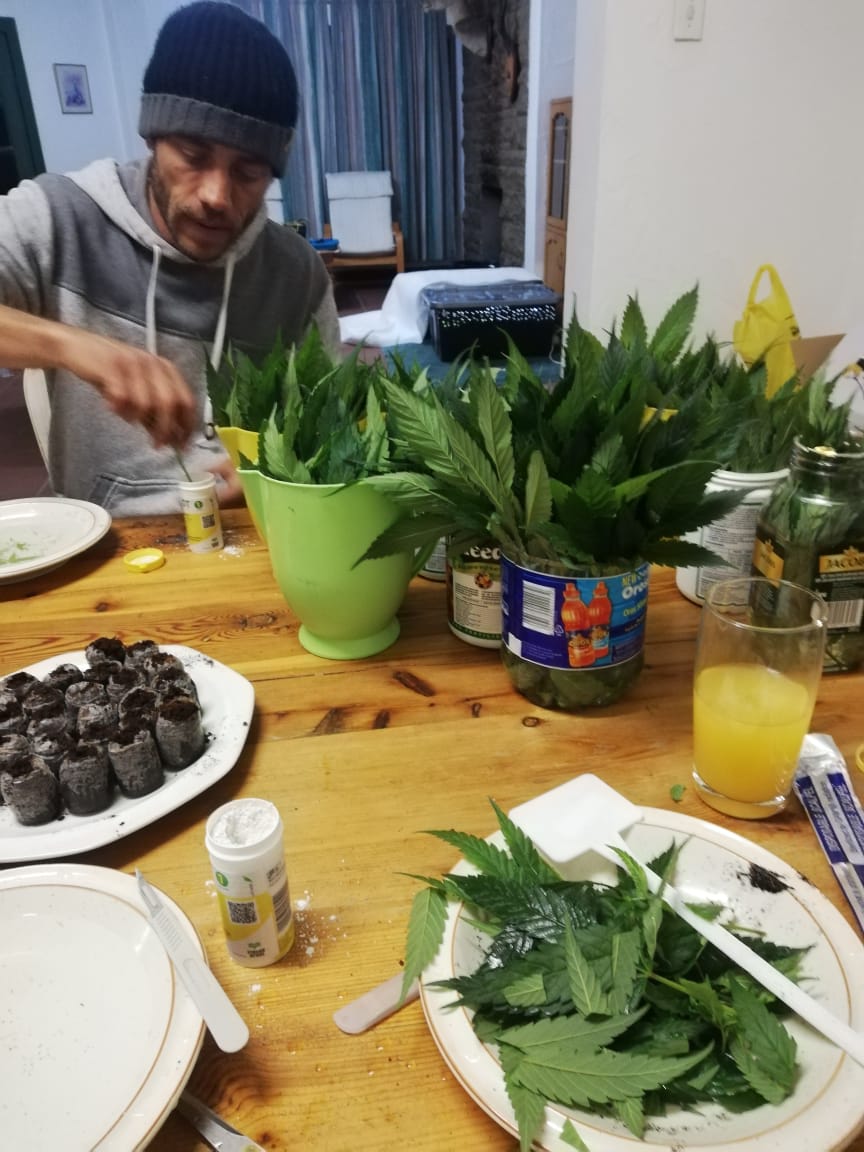 e669f4ec-5296-416d-9e65-0bd7c63d0fbd