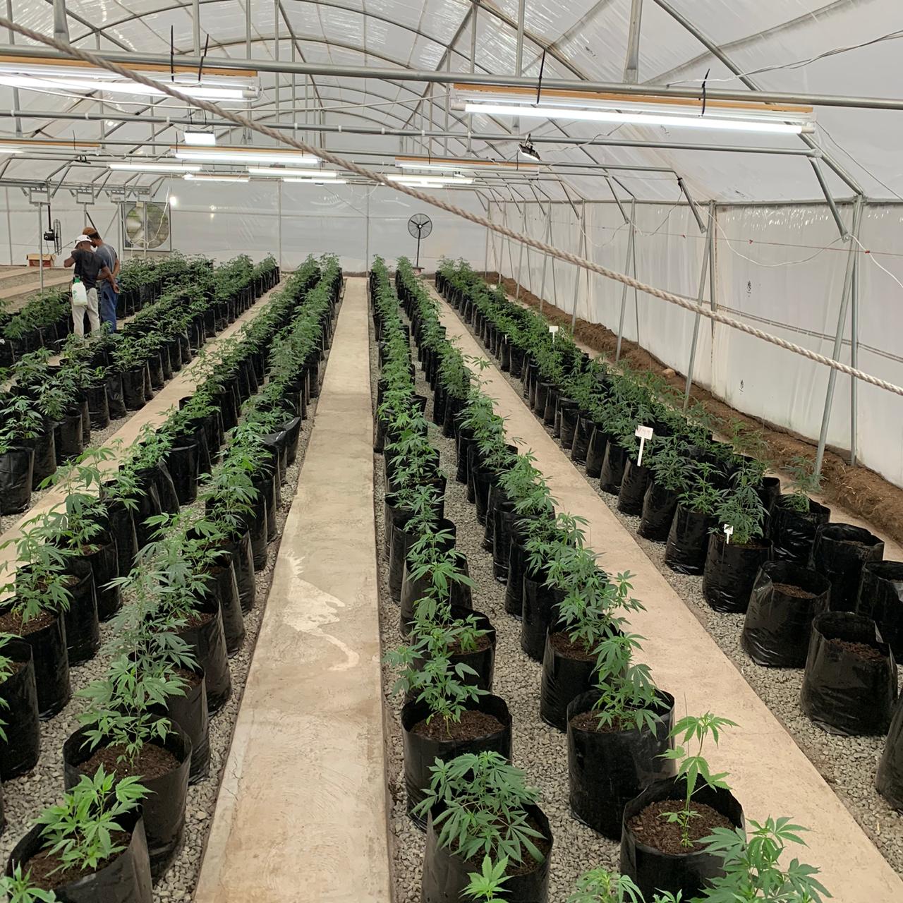 e868a06d-9f9c-40b1-a275-cb2d5f01e446