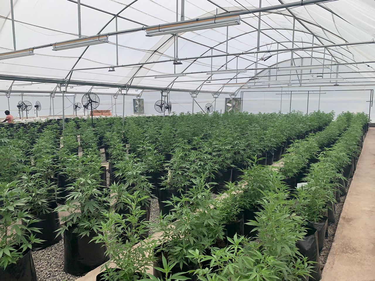 ed630ae6-400e-4cbb-bbb5-22d0a948ce1b