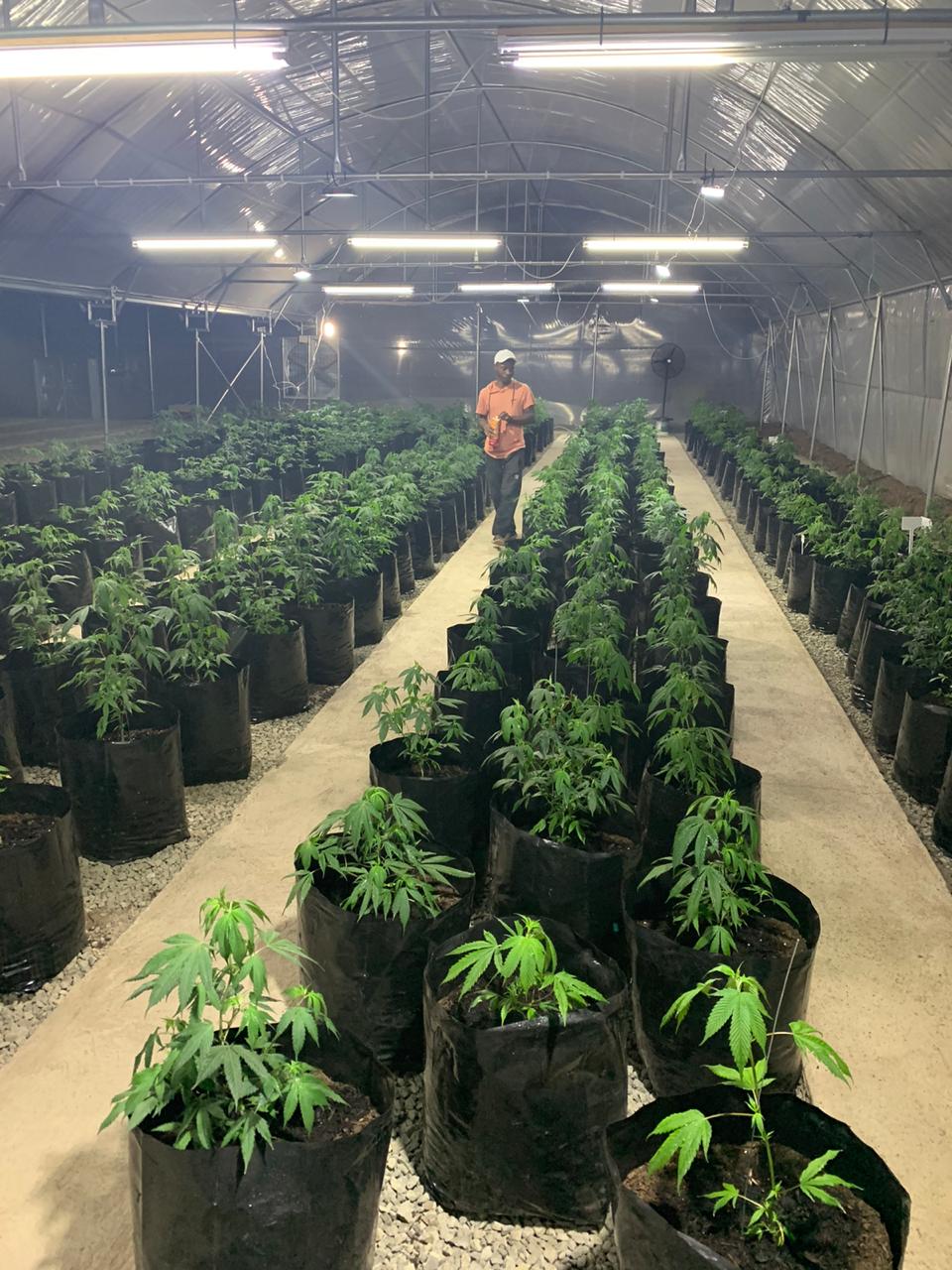 edf3ba2c-c1d8-4261-bfcf-71d8fc9ac78a