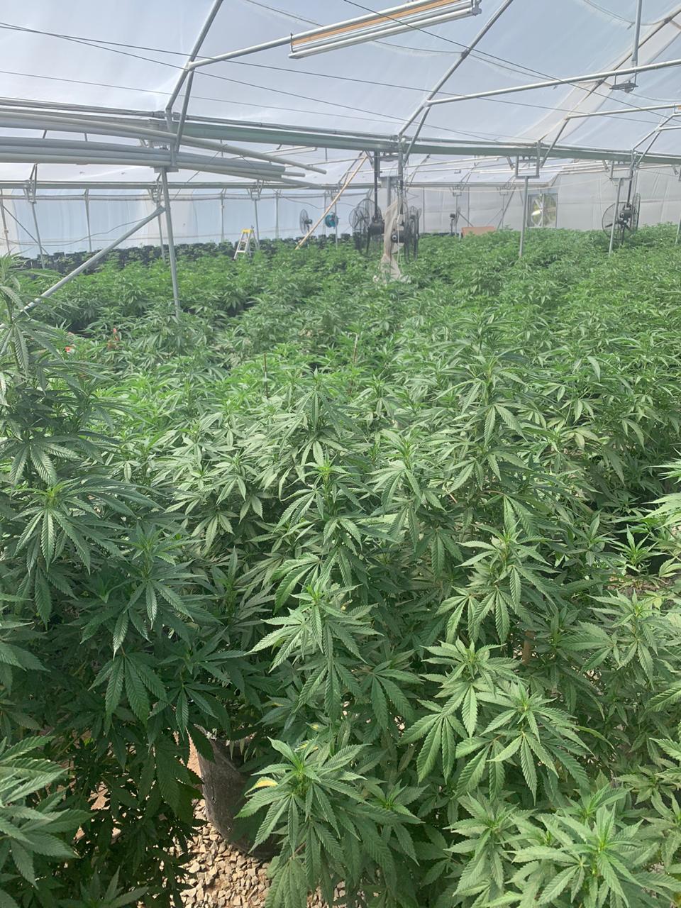 f6de4a1e-3409-4a17-9442-022757830180