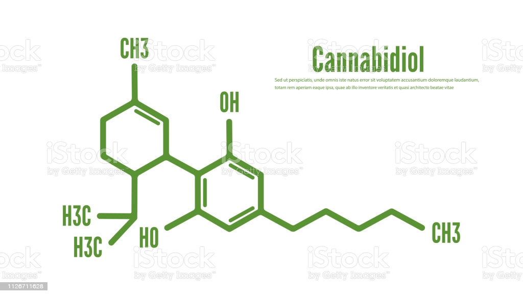 Cannabidiol or CBD molecular structural vector